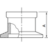 NW Optical Viewpoint