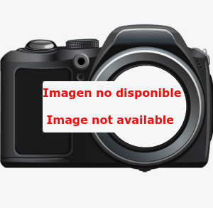 Bushing, Carbon, RP, Rear